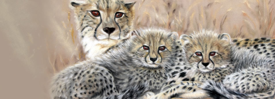 "Cheetah Family"  